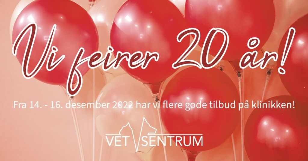 20 års jubileum