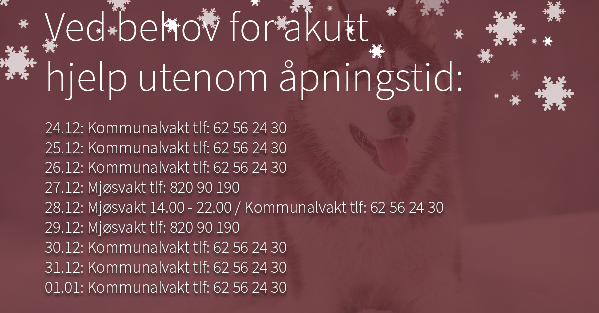 vakttider jul
