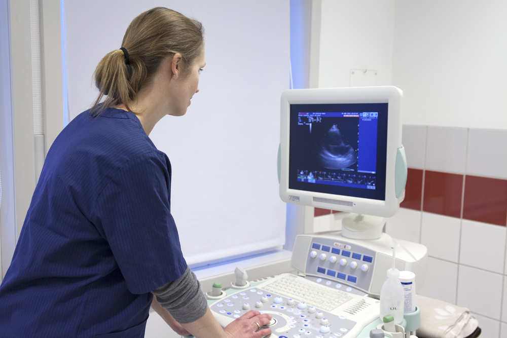 Røntgen, ultralyd, CT, maskin, skjerm