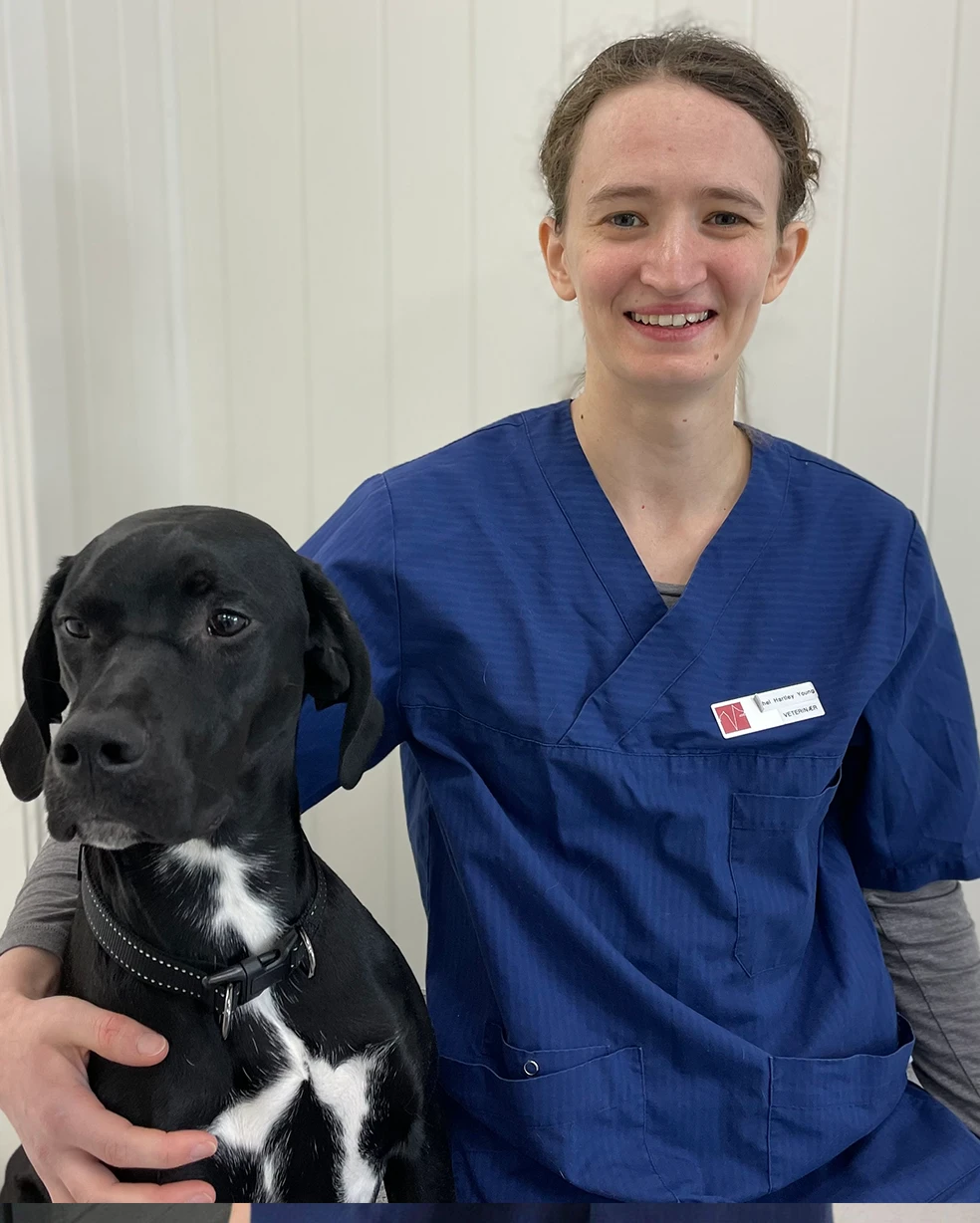 Rachel Hartley Young, Veterinær