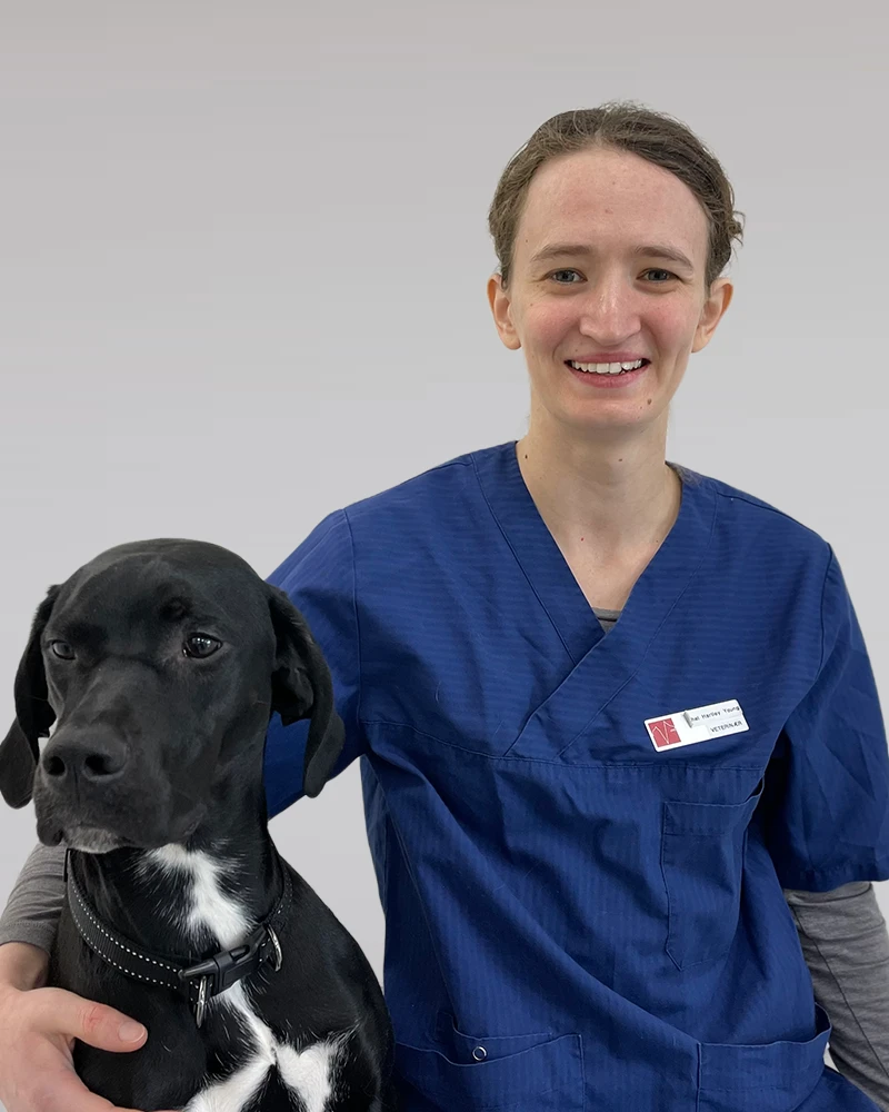 Rachel Hartley Young 6 Rachel H. Young, veterinær