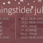 åpningstider jul 2023