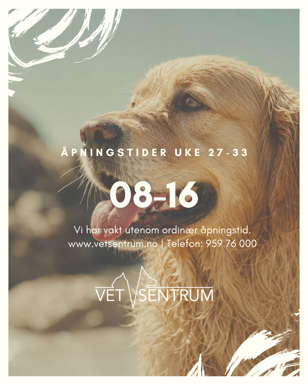 åpningstider sommer 2026, hund, plakat