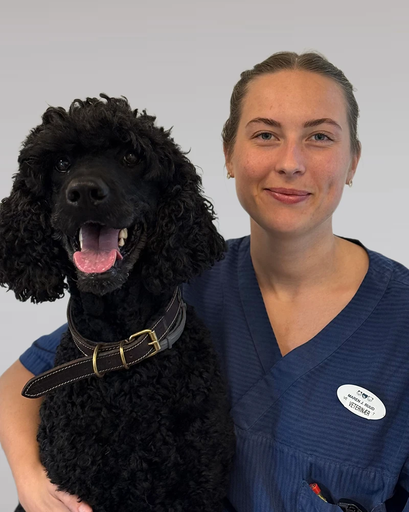Maren Ruud 7 Maren Ruud, Veterinær