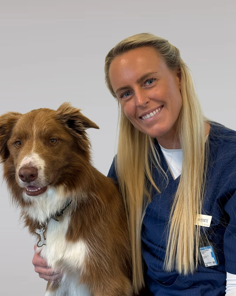 Benedicte Evensen 2 Veterinær, benedicte evensen