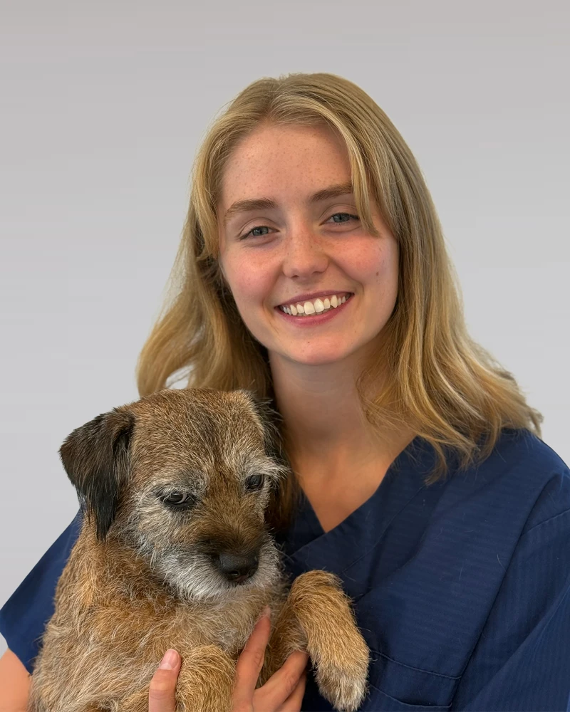 Sara Nissen 1 Veterinær, sara nissen